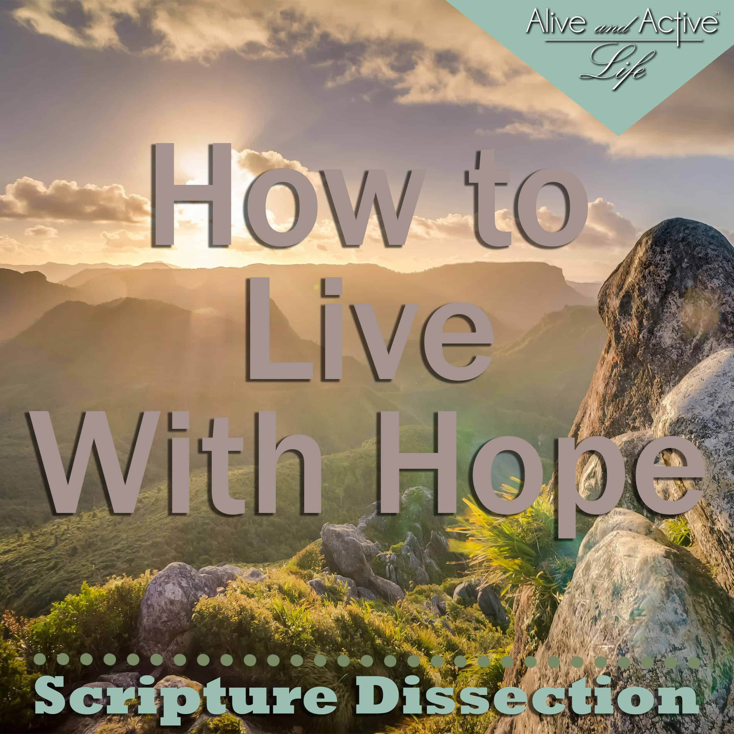 Alive and Active Life