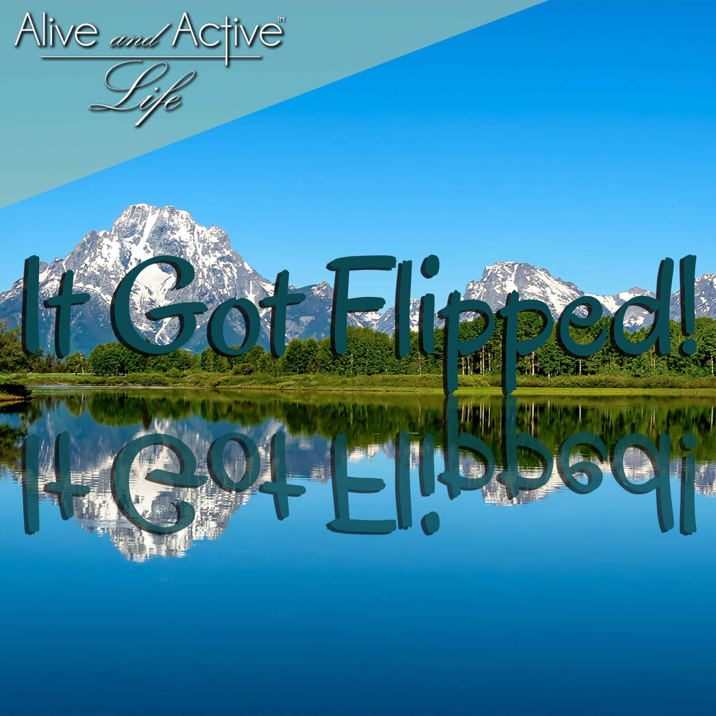 Alive and Active Life