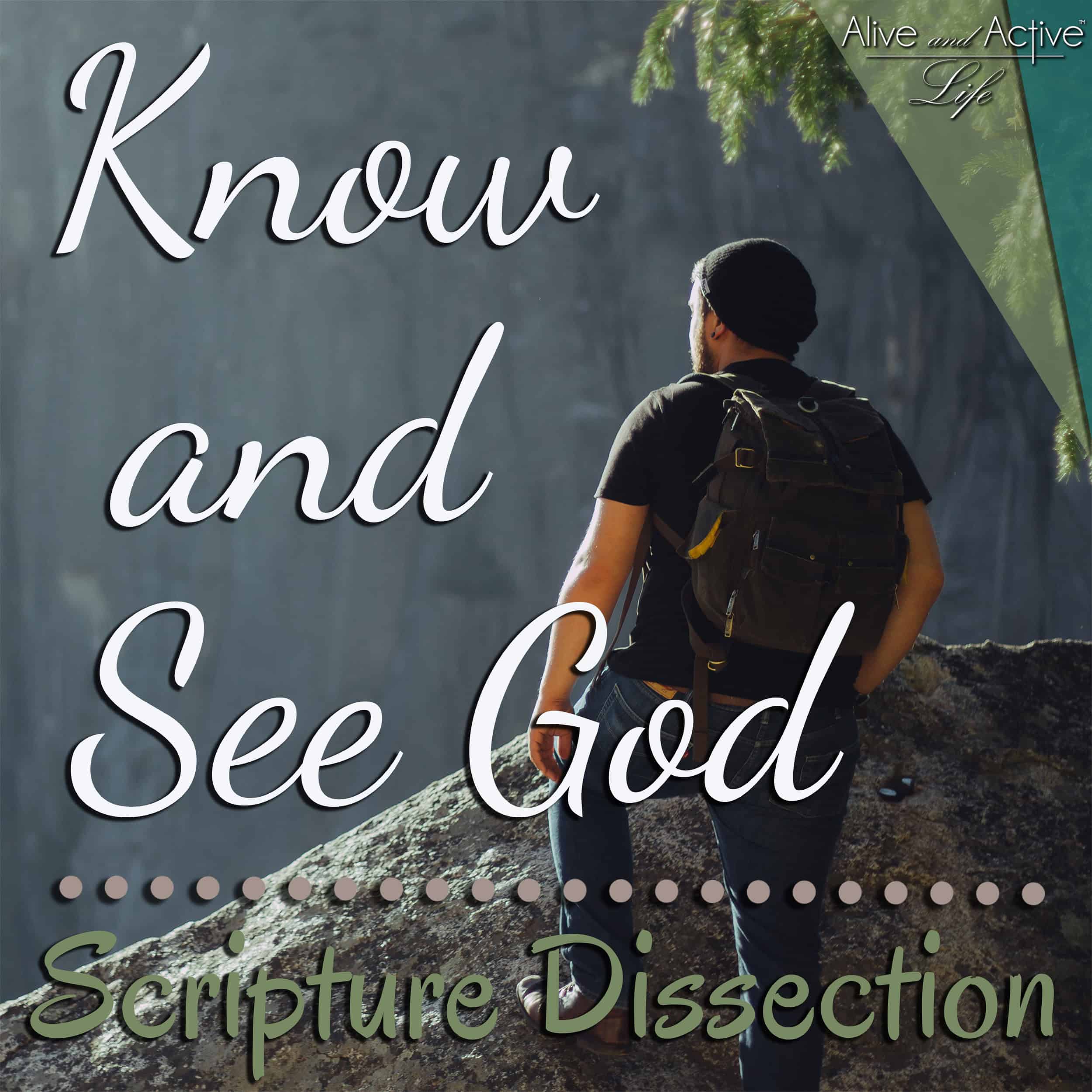 Alive and Active Life