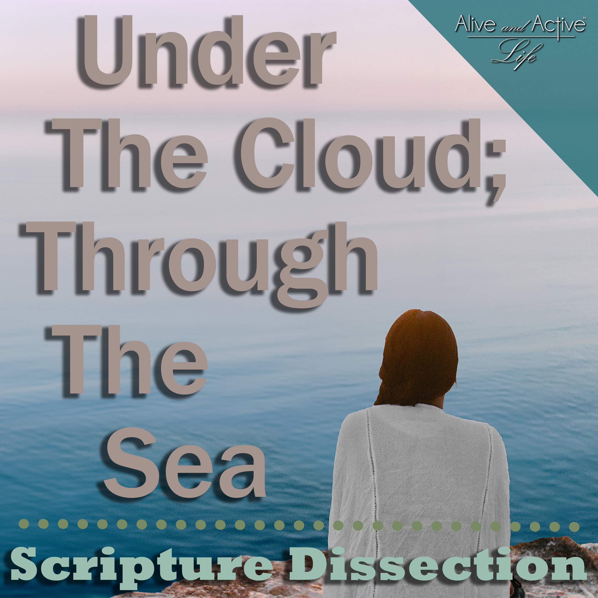 Alive and Active Life